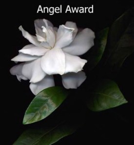 Angel Award
