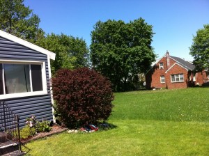 The next door neighbor owns it. It's not a dog park. Go away, please.