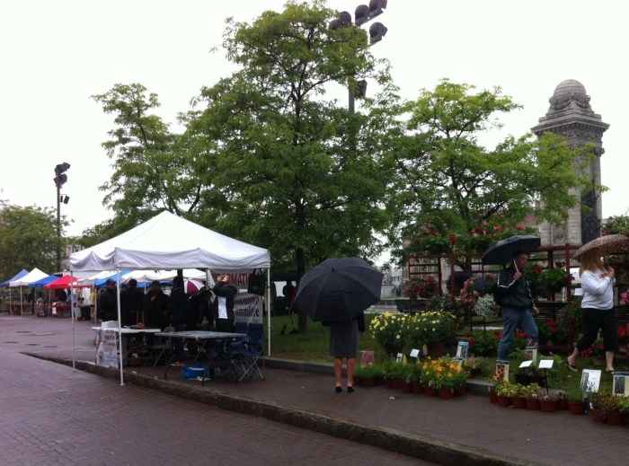 The Tuesday tents, a welcome sight in Clinton Square.