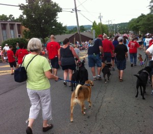 Ellie B and the canine crew from The Dog Gone Inn Doggy Day Care of Manlius.