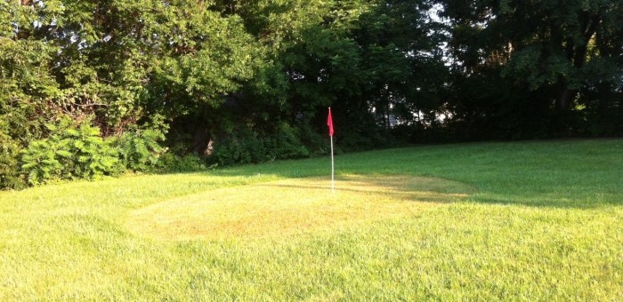 In Eastwood, a green has been mown.