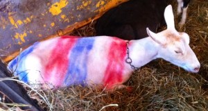 I must ask: Who did your hair?