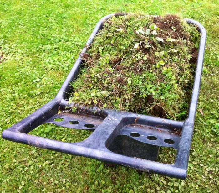 Here is sod removed to make way for a new garden in Syracuse, N.Y., come spring 2014.