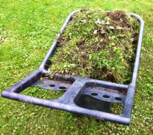 Here is sod removed to make way for a new garden in Syracuse, N.Y., come spring 2014.