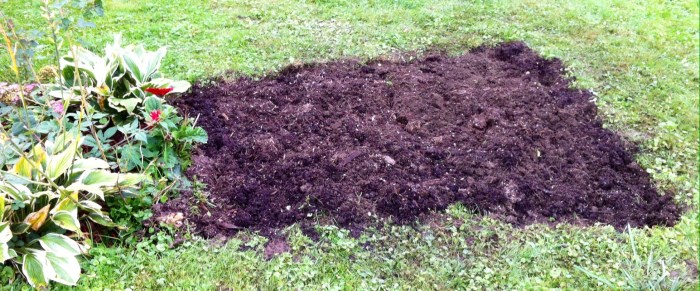 A dug out garden in Syracuse, N.Y., in fall 2013.