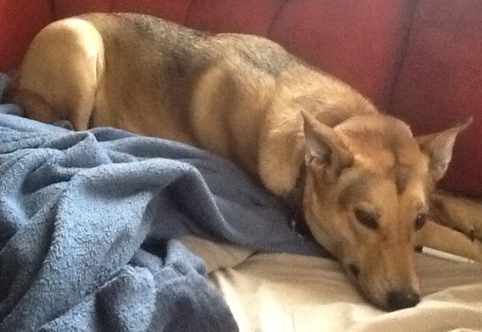 Monday morning rush? No, sir, says Ellie B.