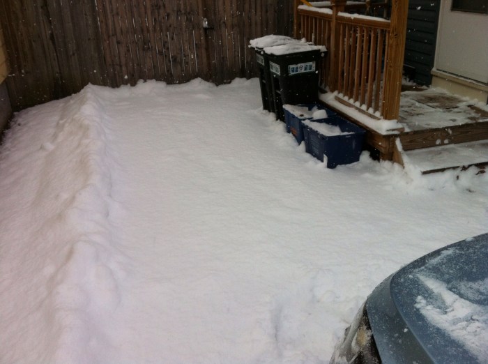 And here's what greeted me when I needed to drive to the store 2 1/2 hours after I was done shoveling.