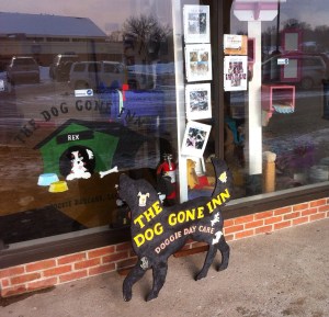 The Dog Gone Inn Doggie Day Care in Manlius, N.Y.