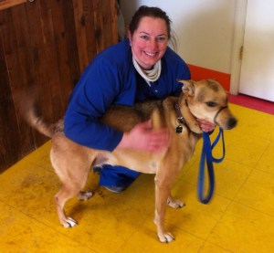 Happy dog, happy doggie day care owner.