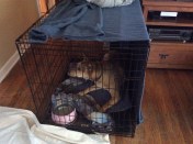 No, Ellie B, you cannot help the installers in the laundry room.