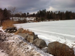 I suppose some people actually measure the ice thickness here at the south shore of Cazenovia Lake.