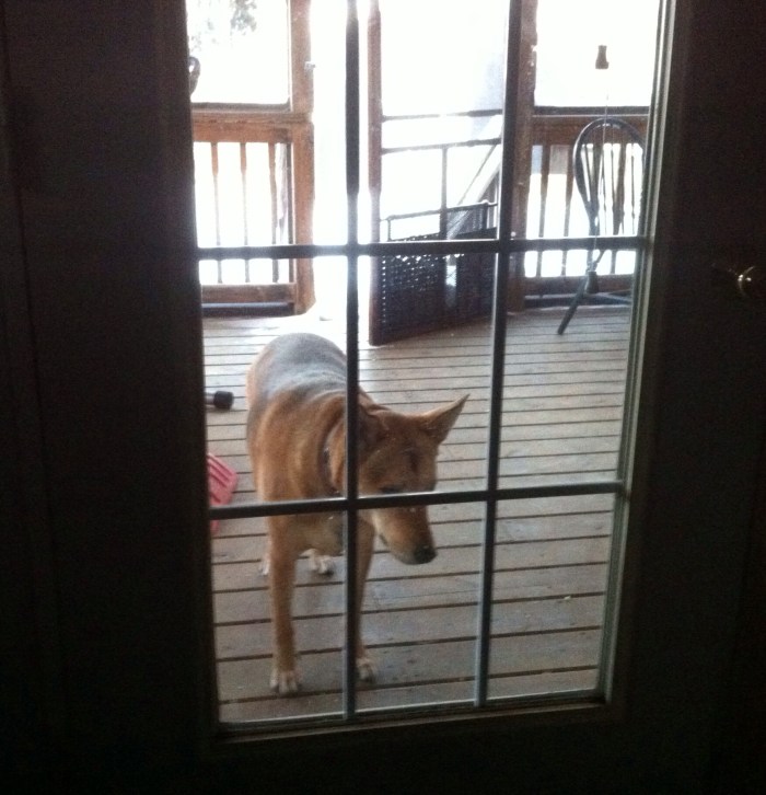 OK, OK, I hear you Ellie B.