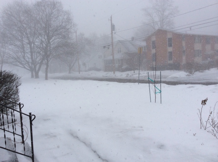 Snow falls in Syracuse, N.Y.