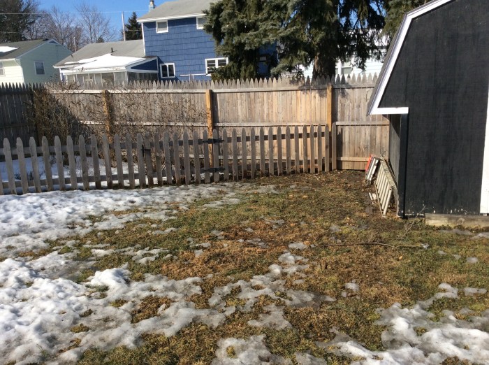 Nothing that a rake and a mow won't fix a few weeks hence.