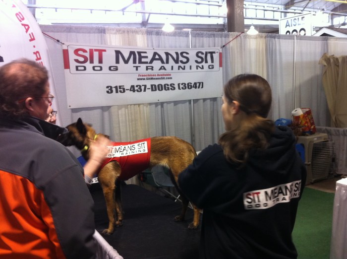 This dog is a model citizen at the Syracuse Home and Garden Show.