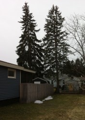 Still leaning left, especially Al Pine No. I.