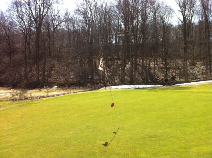 That is indeed snow still hanging in there at the woods line behind the green.