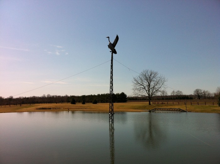Goose Watch features a goose on guard over a pond.