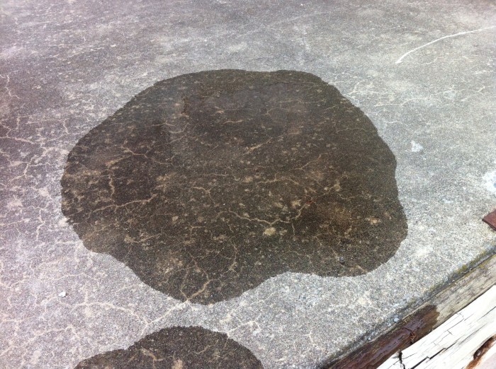 The puddle of Superstition spread from the bottom of the brown bag. My bad.