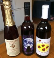 These made it home to the Syracuse city neighborhood of Eastwood, safe and ready for another day.