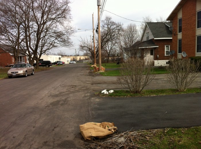 Four neighbors in a line have completed spring cleanup in the yard and left bags for recycling. 