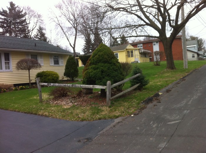 Pretty spring in Eastwood.