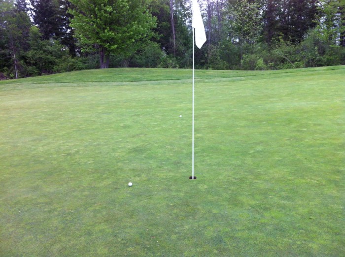 Look to the left of the flag. My shot, from 190 yards out.