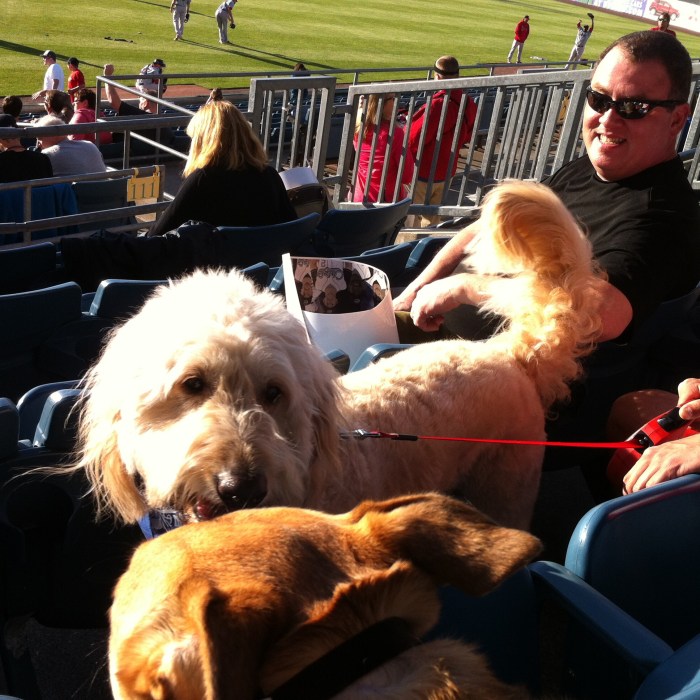 Yankee and Ellie B say hello at NBT Bank Stadium.