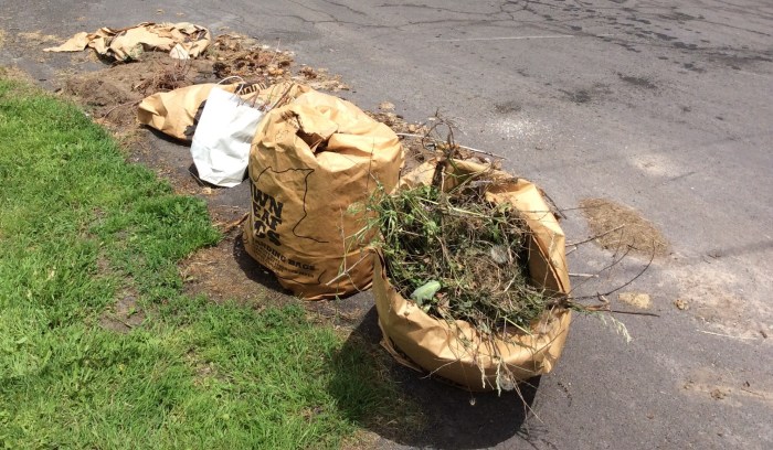And the clippings still await pickup by the city crew.