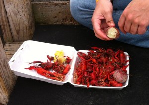The hero of the day, cooked in a pot. The might crawfish.