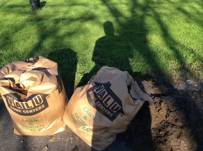 Yes, this is the proper week to get the grass and garden cuttings out front for pickup.