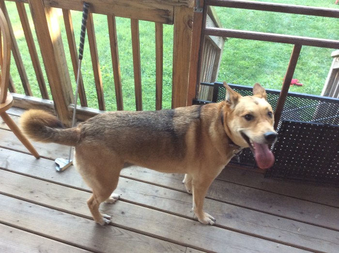 Ellie B and where she went out the door previously.