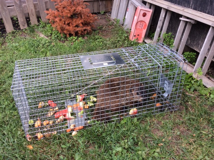 Yeah, you match the post office mug shot.