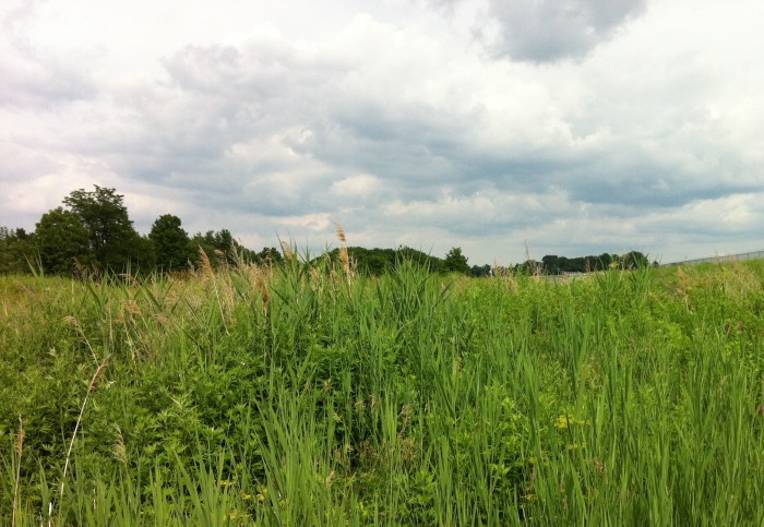 Go to the end of the world and hang a right.