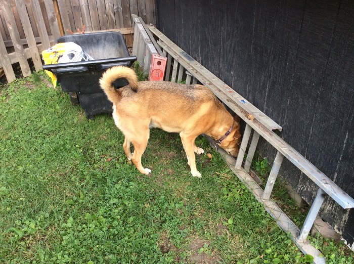 It used to live right here.