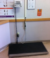 The first stop at the vet: Get the dog on the scale.