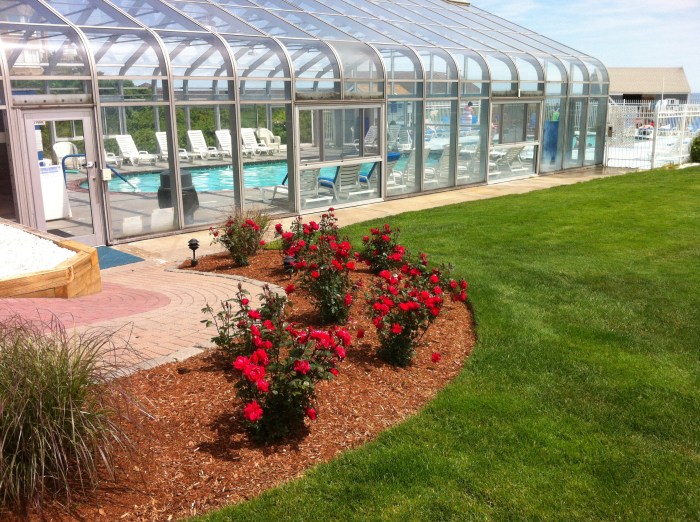 We are welcome here.