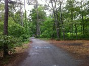 Filling the potholes.