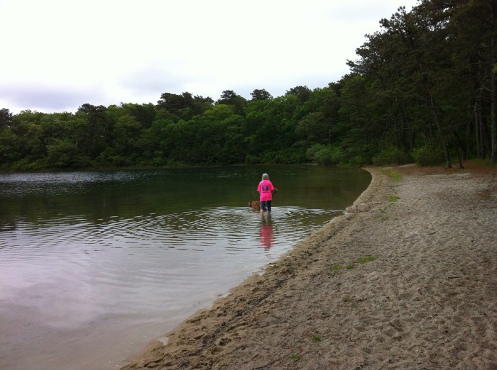 It's a peaceful place in our world.