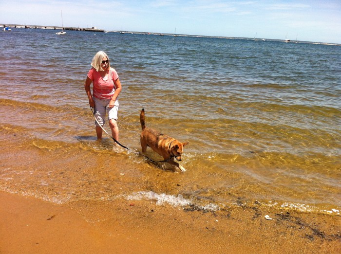 Catch a wave and you're sitting on top of the world, Ellie B.