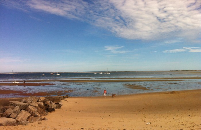 Karen, Ellie B, and the beach at Provincetown, Mass.