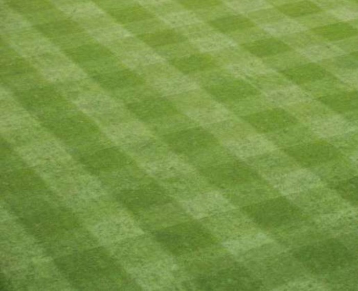 What I envision for my lawn. (From Getty Images)