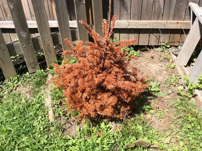 You had a good winter life on our porch.