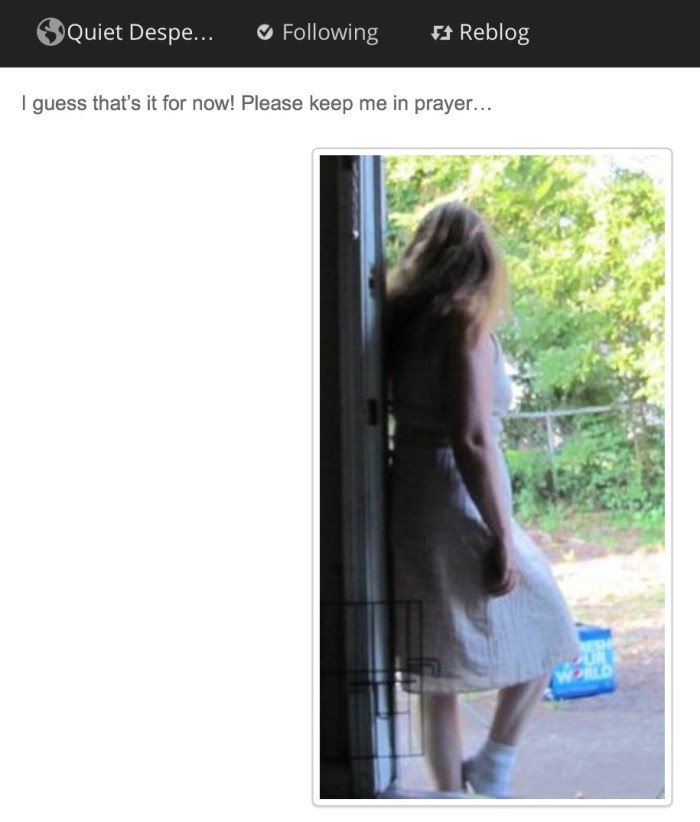 (From Kim Hood's Quiet Desperation Blog on WordPress.)