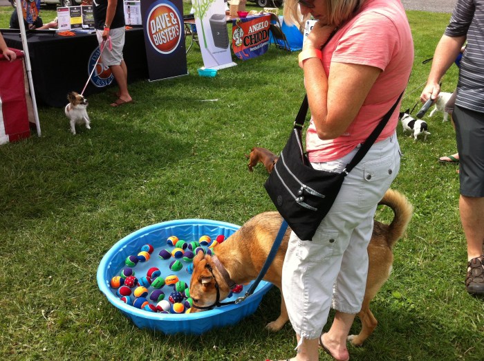 Ellie B liked the bobbing for tennis balls game.