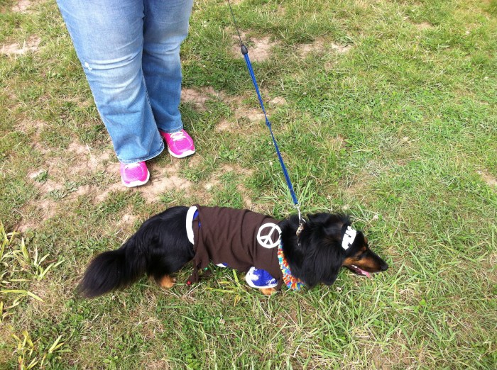 Did I see you at Max's farm?