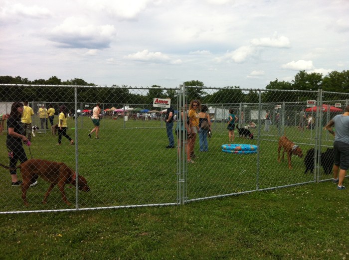 Go ahead and run, run, run.