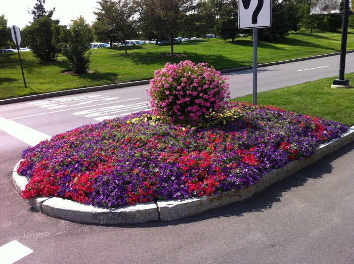 This island burst with color.