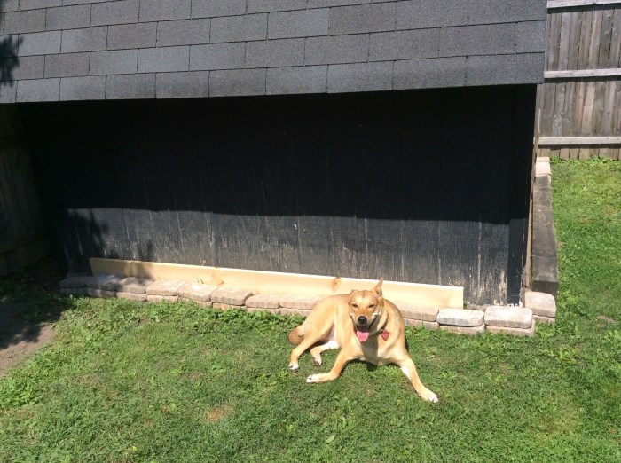 Thanks for the hard work, Da!