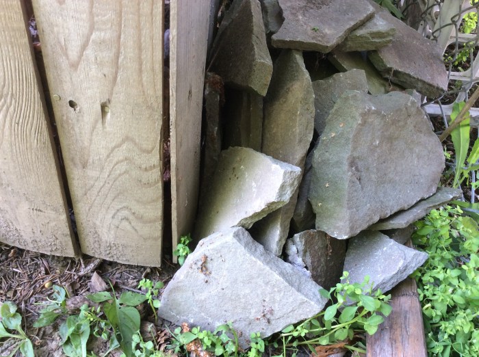 The burrow holes behind the back fence are now filled.